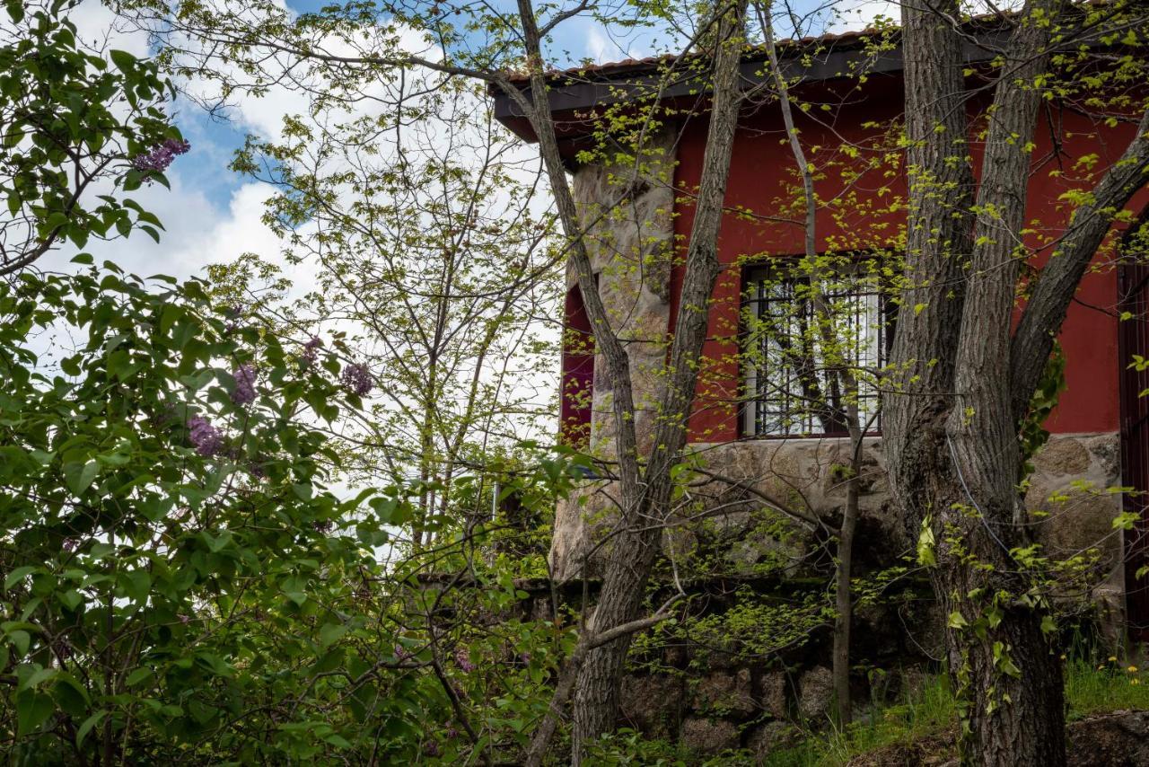 Zarzalejo Casita En La Sierraヴィラ エクステリア 写真