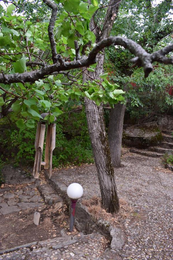 Zarzalejo Casita En La Sierraヴィラ エクステリア 写真